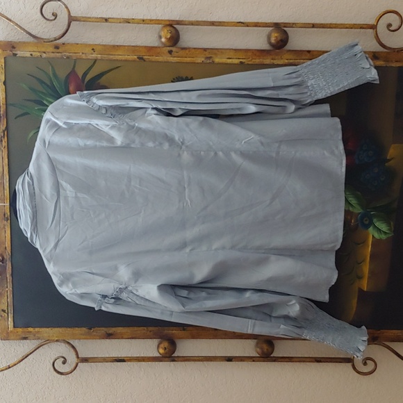 Scarlet Darkness Victorian Ruched Lantern Sleeves Button-up Blouse - Picture 4 of 8